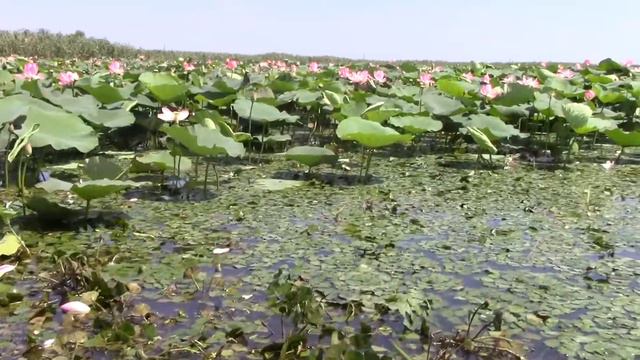 Поездка на Азовское море 3 часть смотреть онлайн