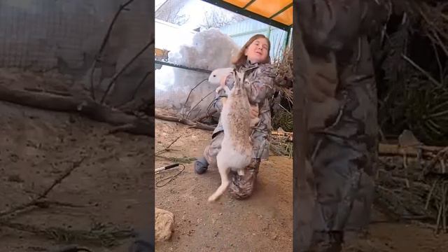 заяц барабанщик смотреть онлайн