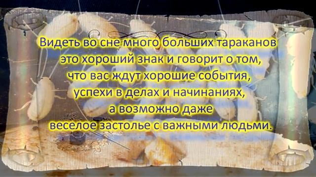 Приснились тараканы, к чему снятся тараканы. смотреть онлайн