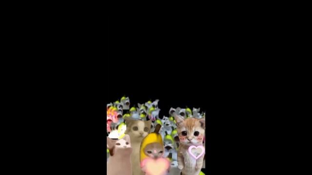Happy Cat Tiktok Compilation #5