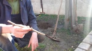 ПОСАДКА ЧЕРЕНКОВ ВИНОГРАДА ВЕСНОЙ  Vselennaya uvlecheniy