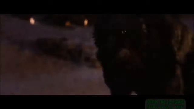 Клип. Одинокий волк