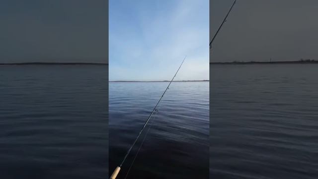 Рыбалка на 1 мая Река Свирь смотреть онлайн