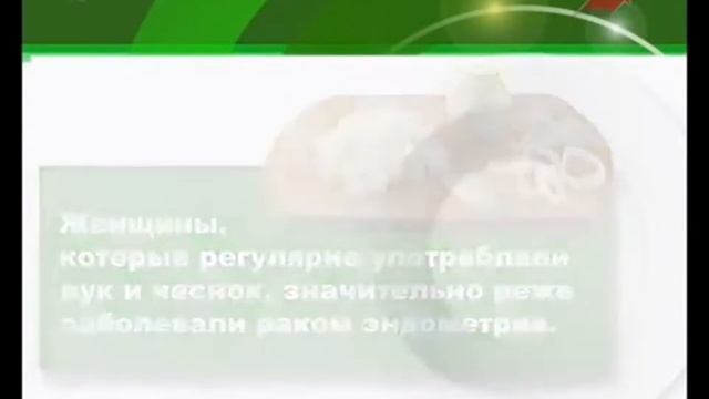 Луковые истории Mp4