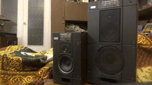 Размышления о Radiotehnika S-50B