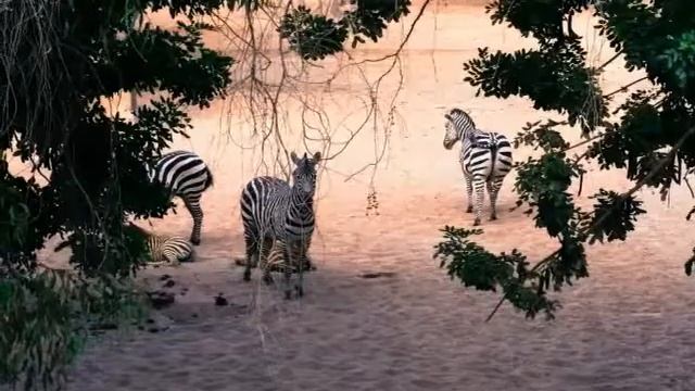 Кульера, Валенсия, Ла Мата, Коста-Бланка, Испания. смотреть онлайн