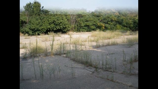 #299-й учебный центр #морскойпехоты ВМФ «#Сатурн» г .#Севастополь смотреть онлайн