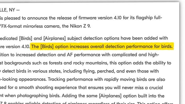 Canon's INSANE 200-1000mm LENS?! смотреть онлайн