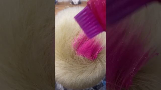 Розовый цвет на короткие волосы