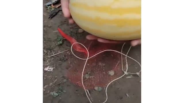 How to Chop Fruits on The Tree | Amazing Fruits Cutting Skills смотреть онлайн
