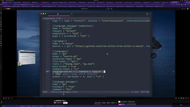 Setup Helix Editor from scratch for Go and Java development смотреть онлайн