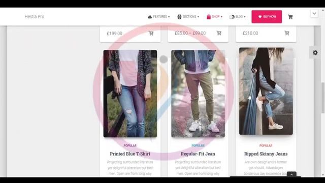 WordPress Hestia Pro Theme Demo Video смотреть онлайн