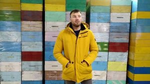 Принимаем заказы на маток Бакфаст (ИО и F1) и пчелопакеты