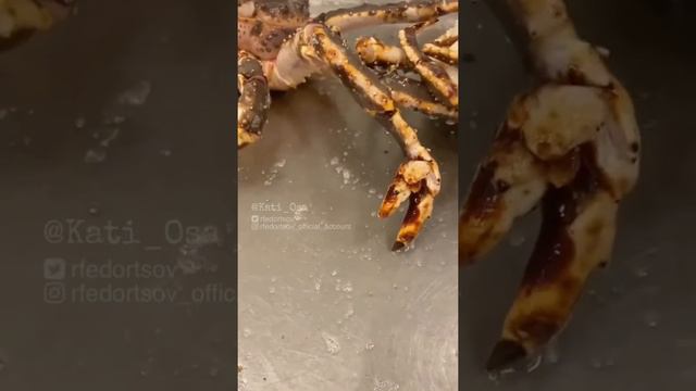 Моряк из Мурманска показал необычного краба смотреть онлайн