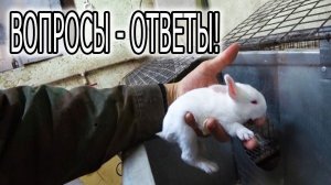 ОБЗОР ХОЗЯЙСТВА ОКТЯБРЬ 2023