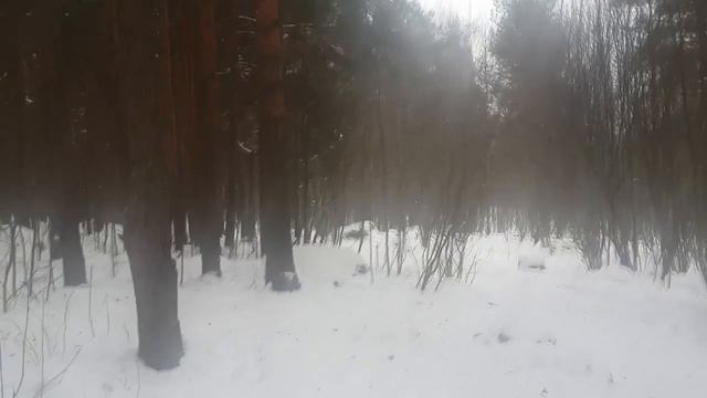 23 день Видеомарафона! Чем более я открыт тем менее я уязвим.. смотреть онлайн