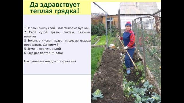 Выращивание огурцов. Ч3 Выращивание огурцов Подготовка грядки смотреть онлайн