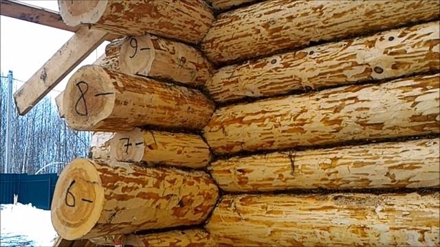Обработка сруба зимой пропиткой и зимним антисептиком для древесины. Зимние пропитки для дерева. смотреть онлайн