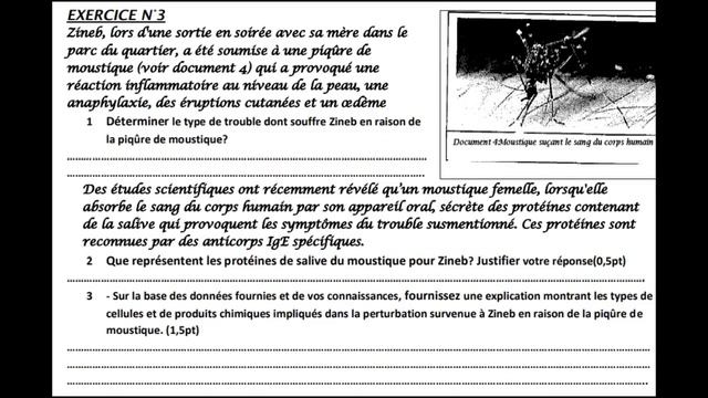 examen régional svt 3ac 2022 + PDF & méthode de réponse смотреть онлайн