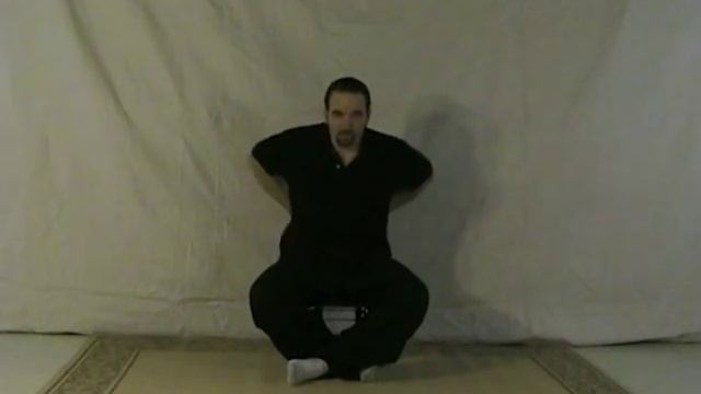 DVD- Seated Eight Section Brocade Qi Gong and Breathing Exercise смотреть онлайн
