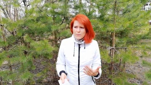 Чем отличается успешный человек от неуспешного? смотреть онлайн