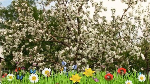 Яблоня обыкновенная (malus) ? Обзор ]: посадка и уход. крупномеры яблони : описание и особенности смотреть онлайн