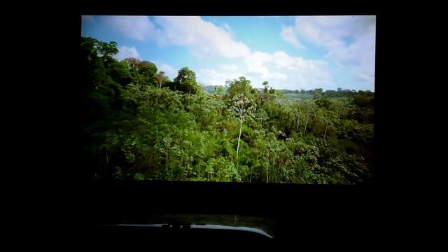 Обзор недорогого Full HD DLP-проектора BenQ W1050 для домашнего кинотеатра смотреть онлайн