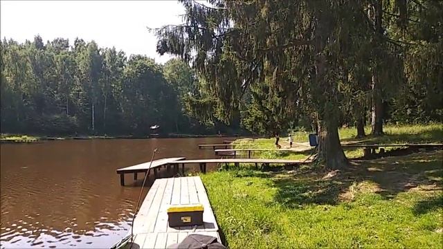 Карп. А что карп? Клёв как из пулемёта. Рыбалка на Верхнем водоёме в Клёвом месте на лосином остров смотреть онлайн