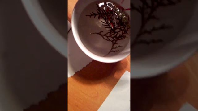 Как подгутуватис до нового року свечка в сблудочке смотреть онлайн