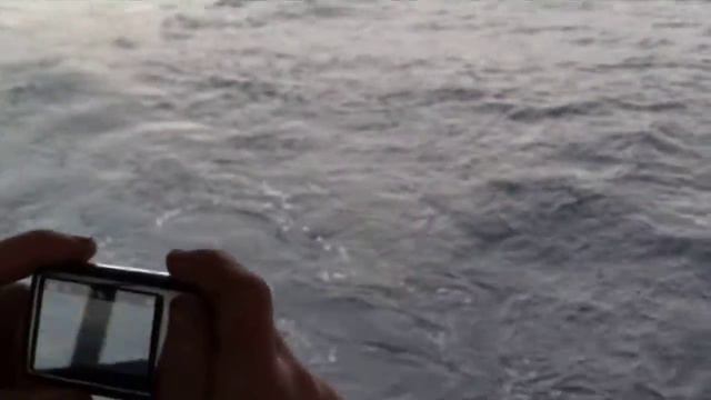 касатки 2012 смотреть онлайн