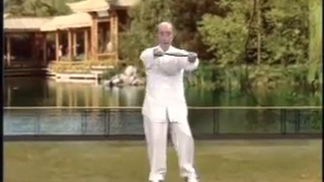 Yang Sheng Taiji Bang 2