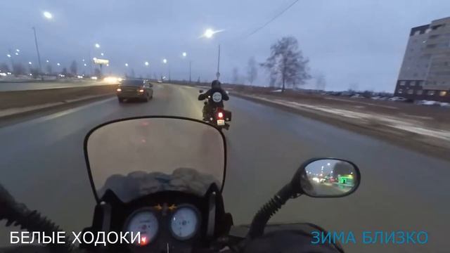 БЕЛЫЕ ХОДОКИ 12 11 2021 смотреть онлайн