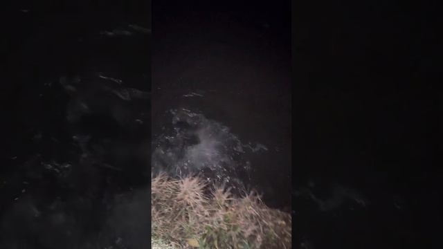 Рибалка з Рогатки в Україні-вечерком на фару смотреть онлайн