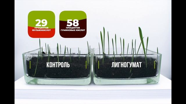 Что такое Лигногумат БM и как он работает? смотреть онлайн