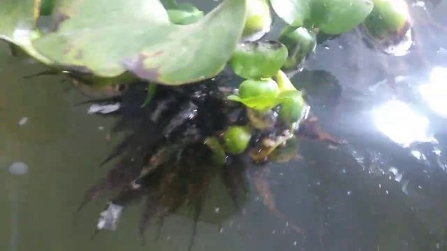 Аэролифт и тест sk узв. смотреть онлайн