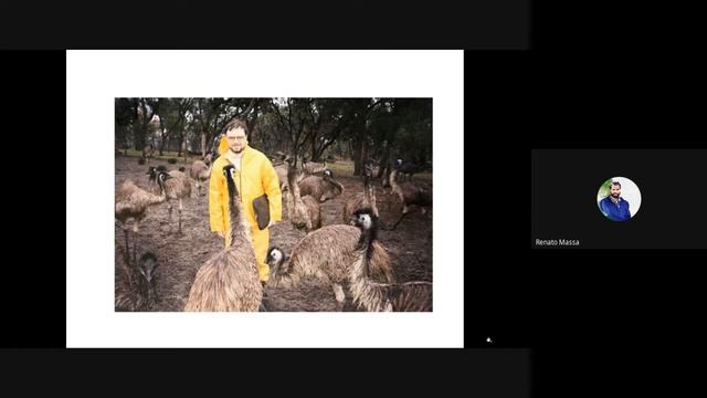 Gli uccelli di tutto il mondo. Presentazione sintetica per ordini e famiglie смотреть онлайн