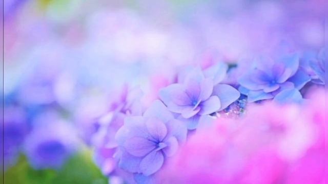 В Свете утренней зари /стих Зои Карповой, муз. Натальи Громадчук / смотреть онлайн