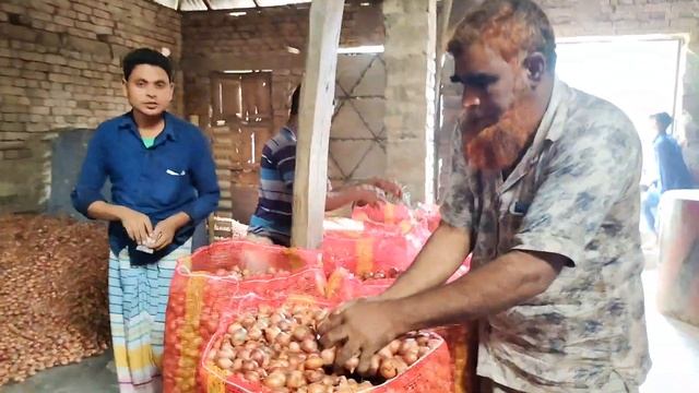 আজকের পেঁয়াজের গরম খবর! আজকের পেঁয়াজ রসুনের পাইকারি বাজার দাম কত জানুন | Onion | Kushtia Tv News смотреть онлайн