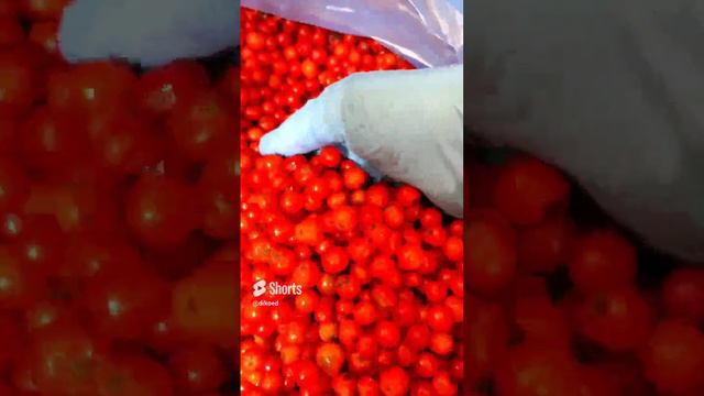 Красная рябина смотреть онлайн