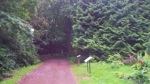 Переславль Залесский.Дендрологический сад(часть 1)