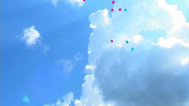свадьба в заринске (день города-черновы) смотреть онлайн