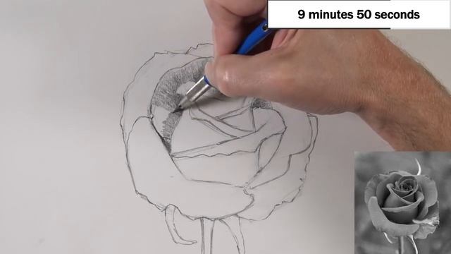 How to Sketch a Rose with Pencil - Gettin' Sketchy Live смотреть онлайн