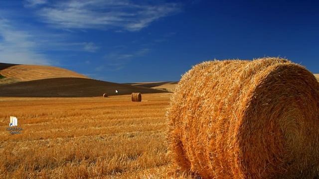 как подключиться к SAP IDES смотреть онлайн