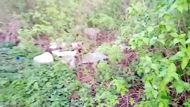 Куда выбрасывать мусор в селе смотреть онлайн