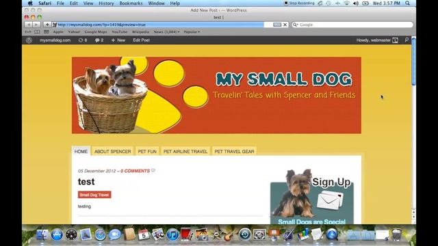 Adding Posts & Pages to the Dashboard in WordPress : WordPress Guide смотреть онлайн