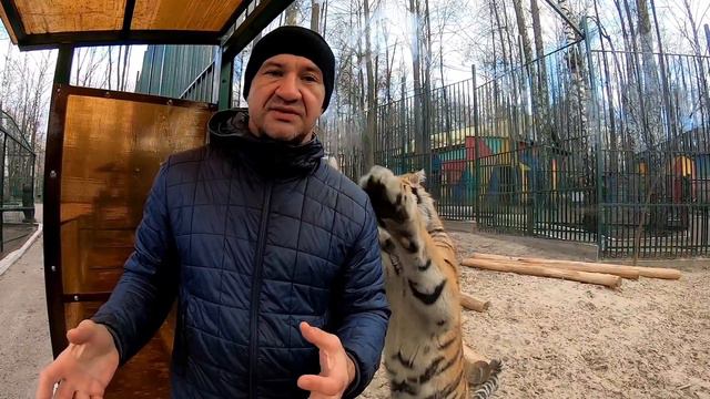 Заложник по Казански 90е.老虎 смотреть онлайн