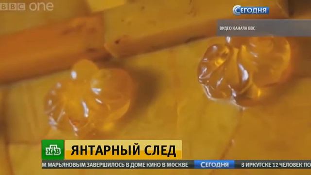Новая версия местонахождения Янтарной комнаты не убедила история смотреть онлайн