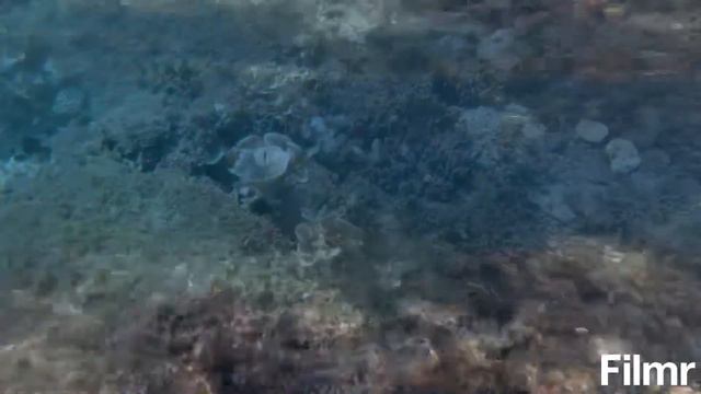Море, ты такое большое смотреть онлайн