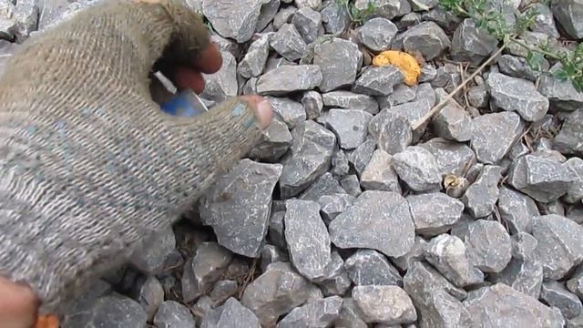 Строительные Прогнозы