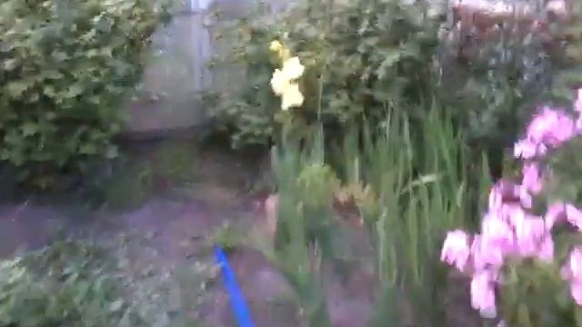 Продолжение предыдущего смотреть онлайн